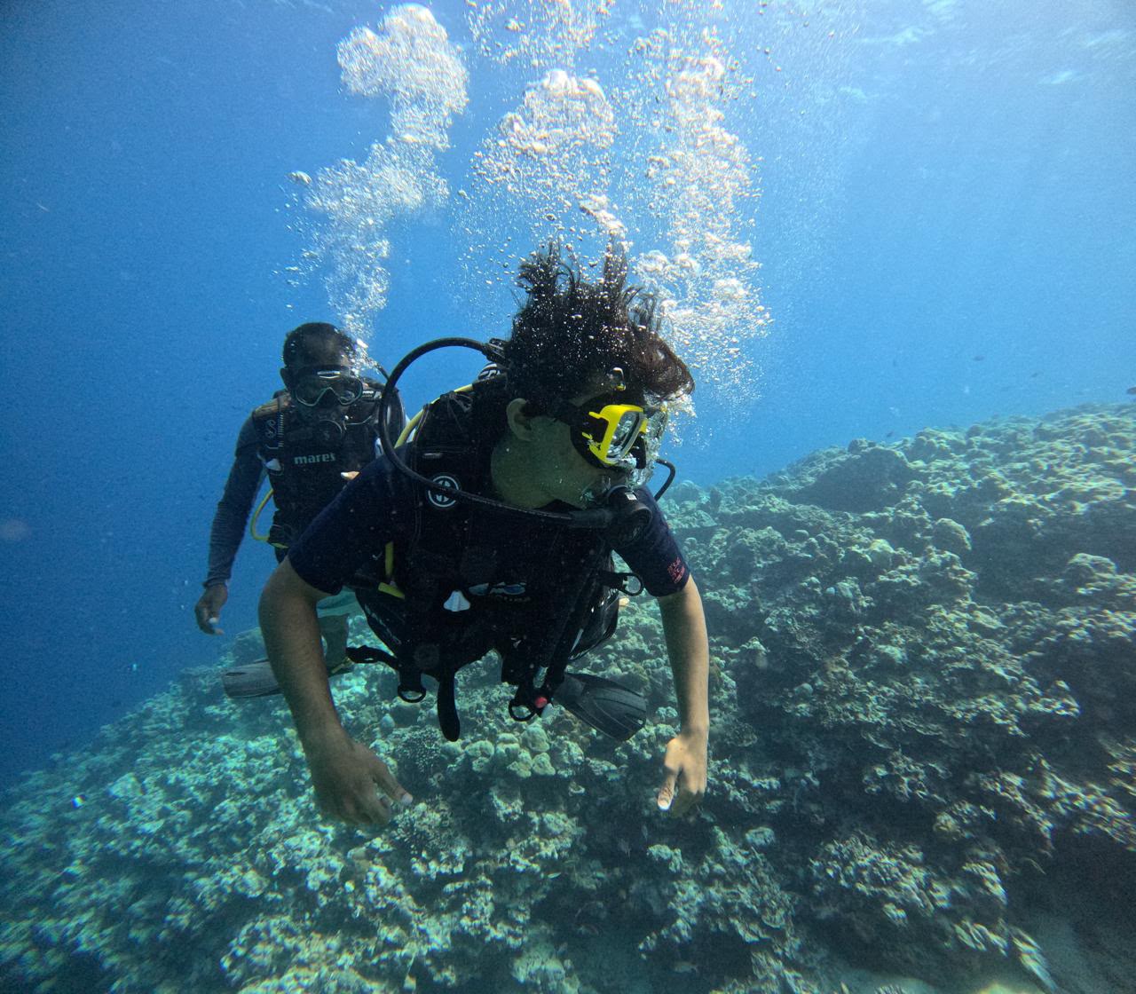 Scuba diving over coral reef